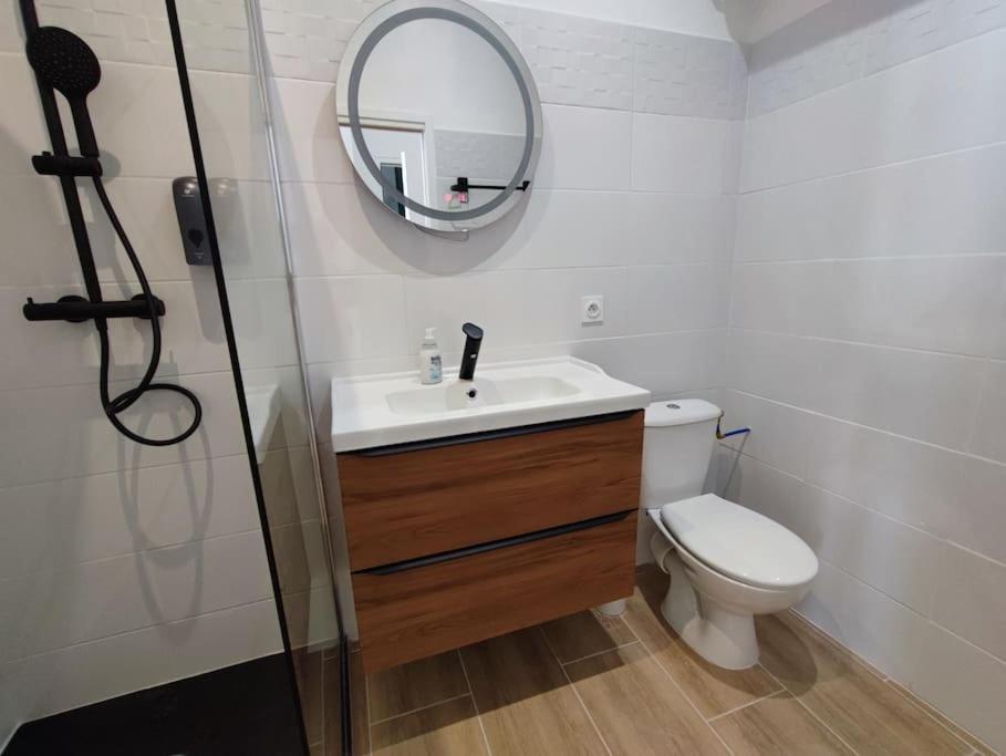 Appartamento Escale Entre Cite Et Bastide Clim Wifi Smart Tv Carcassonne Esterno foto