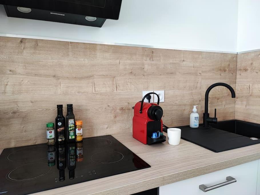 Appartamento Escale Entre Cite Et Bastide Clim Wifi Smart Tv Carcassonne Esterno foto